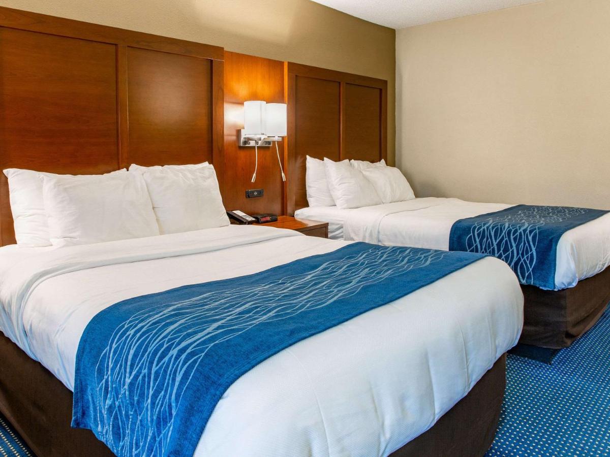 | Comfort Inn Piketon