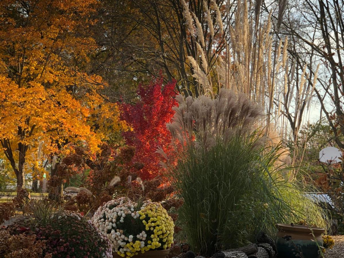 | Sunlight Splendor Apartment at Twin Oaks Inn by the Trails