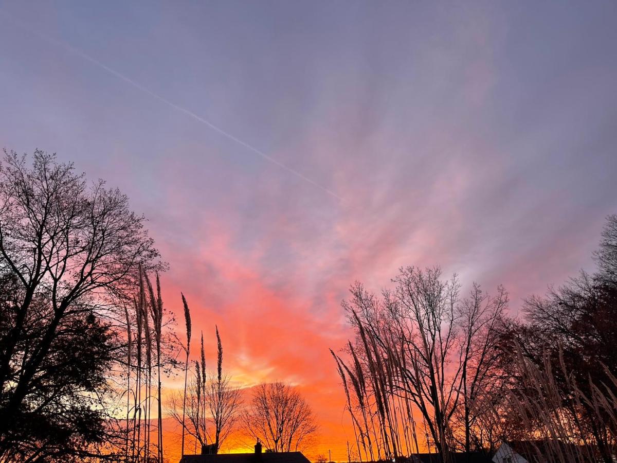| Sunlight Splendor Apartment at Twin Oaks Inn by the Trails