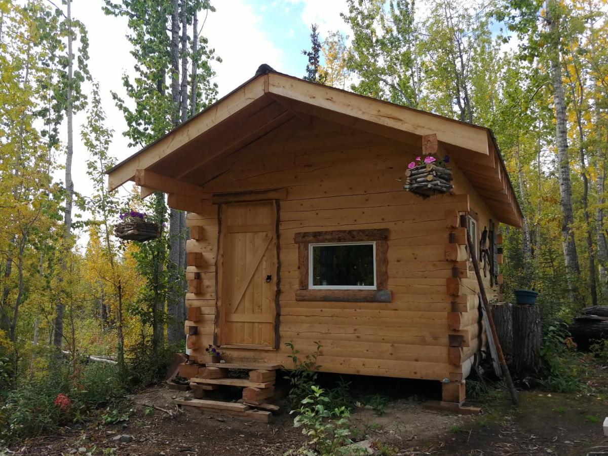 | Blackburn Cabins - McCarthy, Alaska