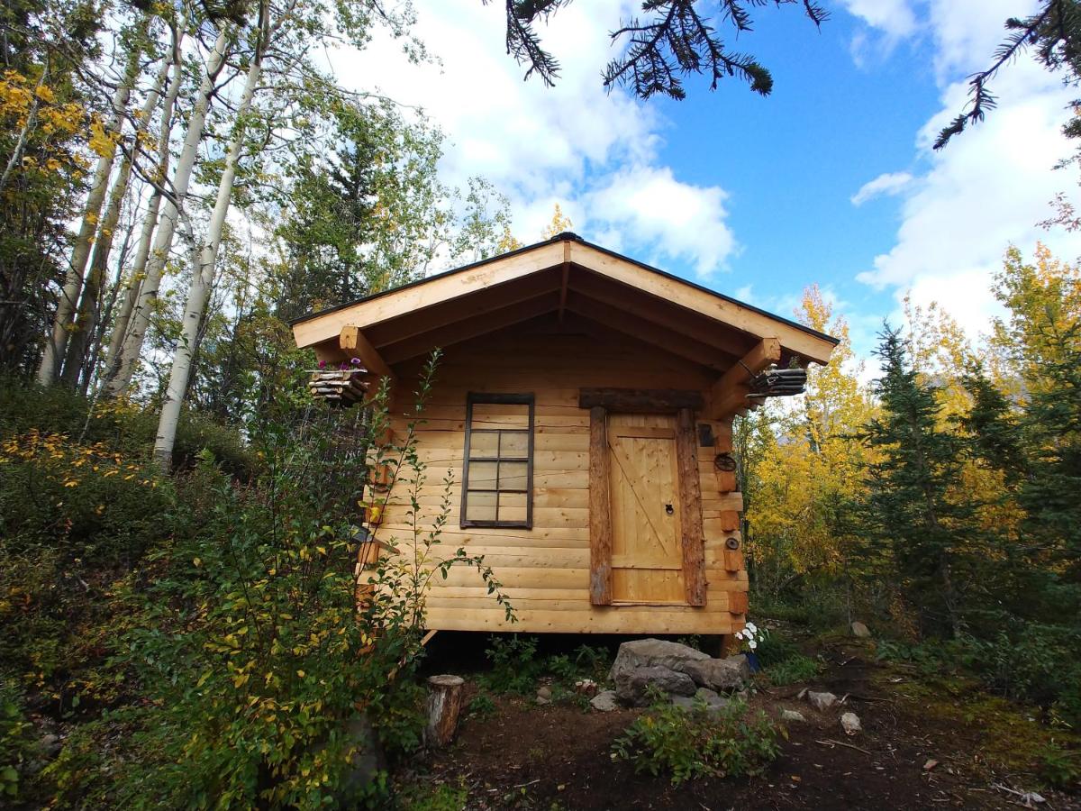 | Blackburn Cabins - McCarthy, Alaska