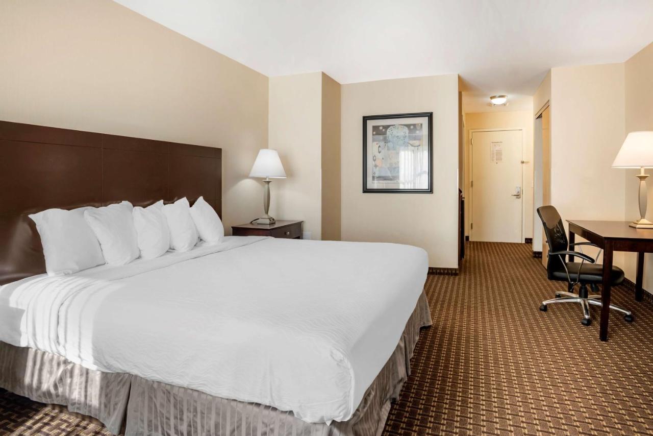 King Room - Disability Access/Walk-In Shower at Best Western Plus Philadelphia Airport S. At Widener Univ.