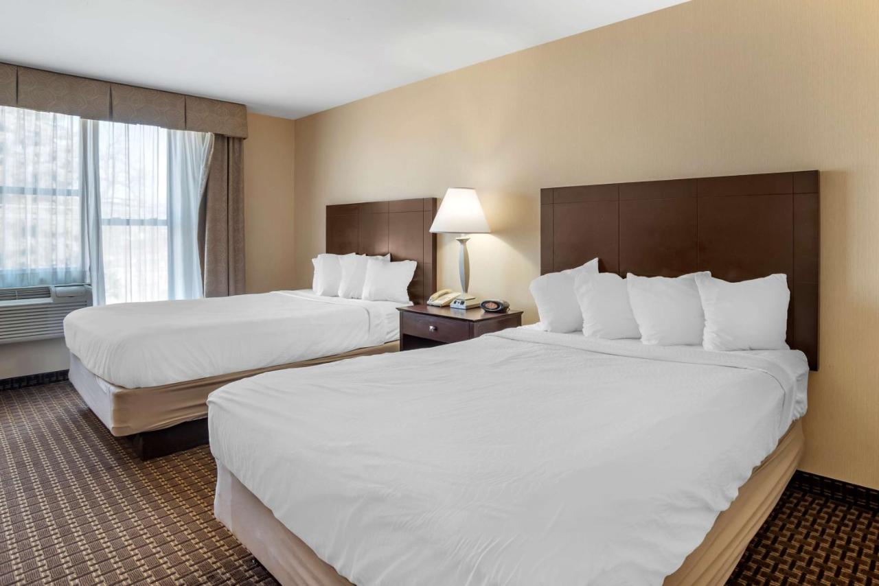Queen Room with Two Queen Beds - Non-Smoking at Best Western Plus Philadelphia Airport S. At Widener Univ.