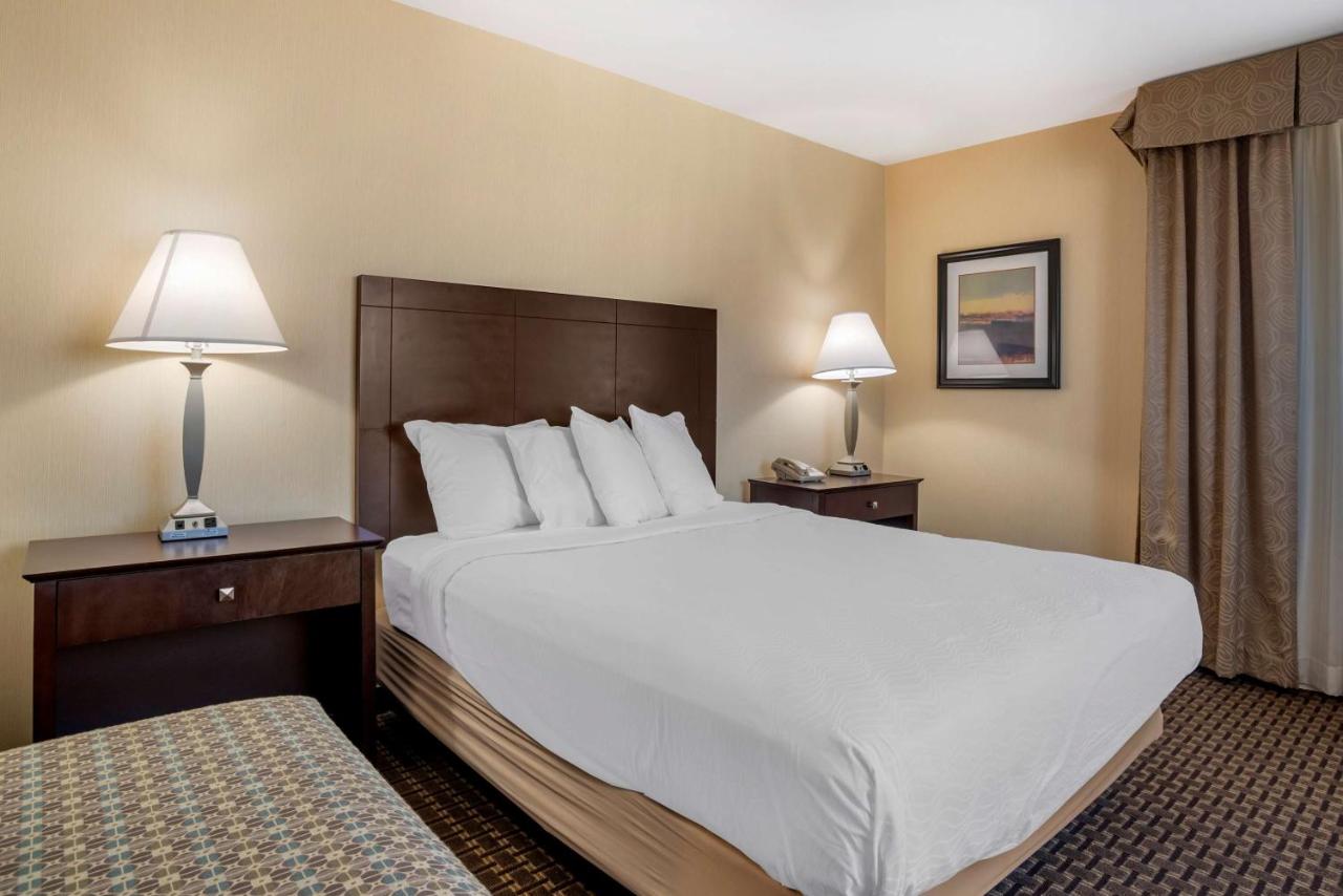 One-Bedroom Queen Suite with Sofa Bed - Non-Smoking at Best Western Plus Philadelphia Airport S. At Widener Univ.