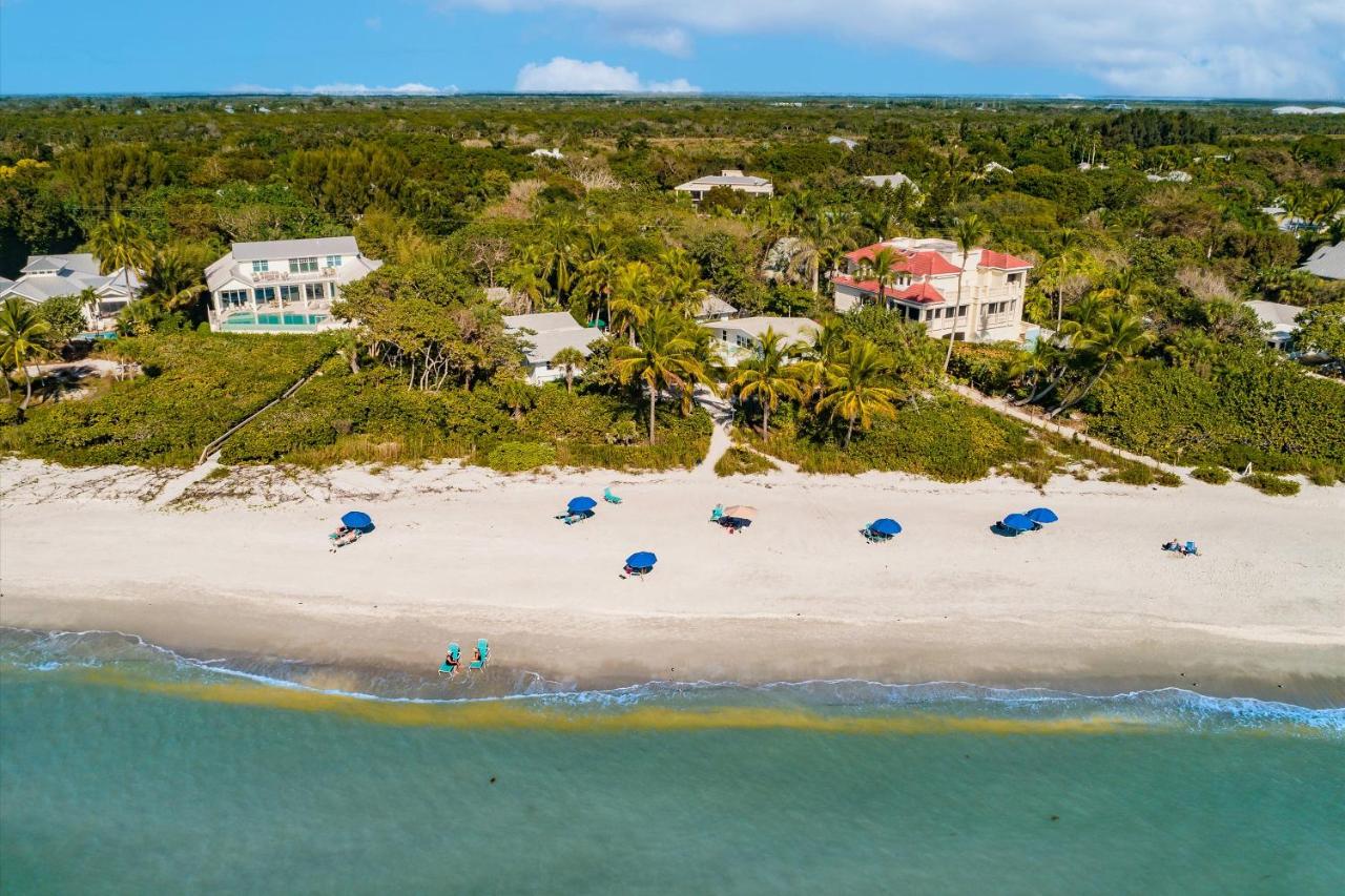 | Blue Dolphin Hotel