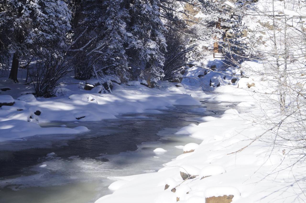  | Swiftcurrent Lodge