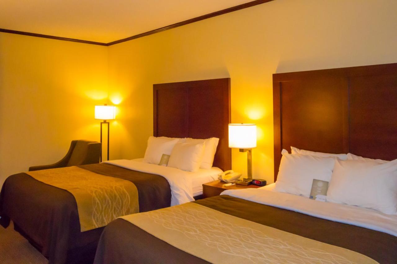 Queen Suite with Two Queen Beds - Non-Smoking at Comfort Inn & Suites Ardmore