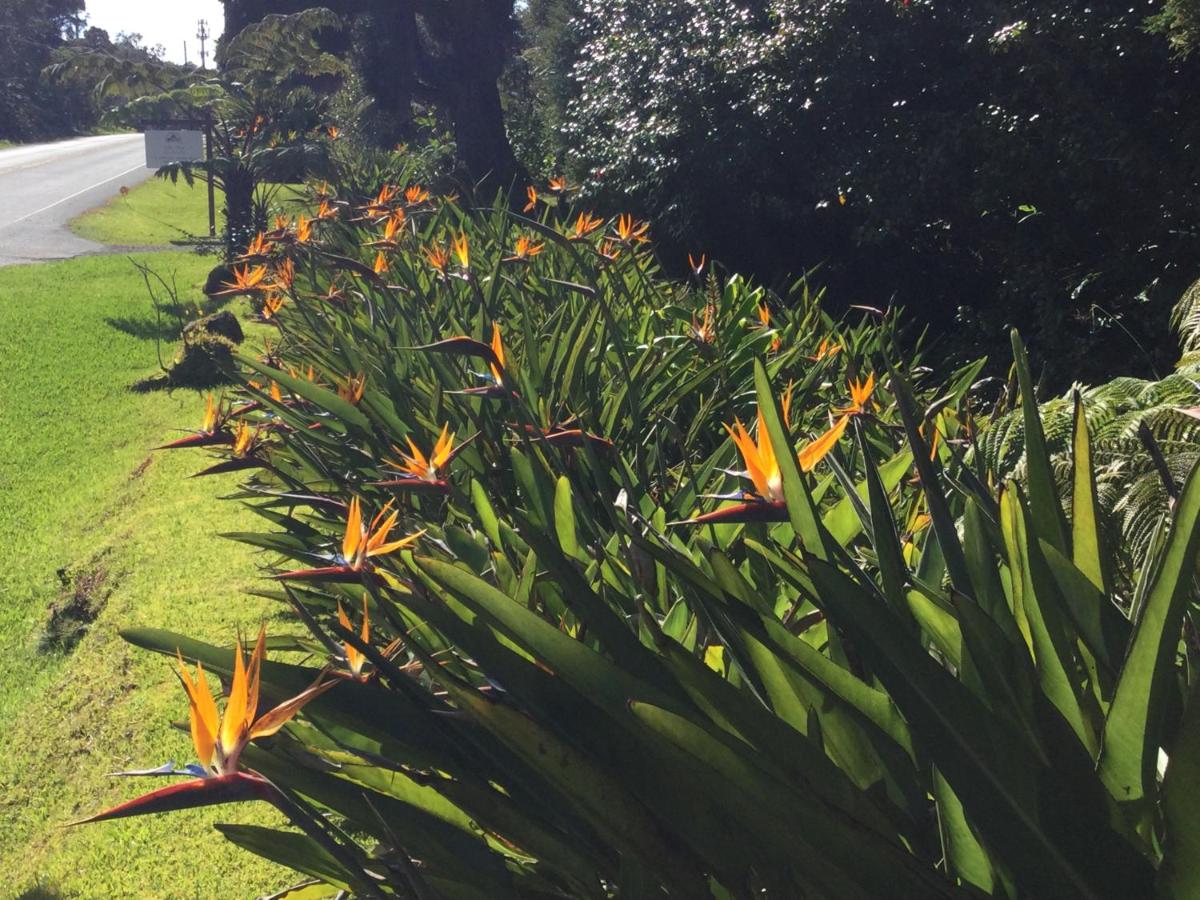 | Hale 'Ohu Bed & Breakfast