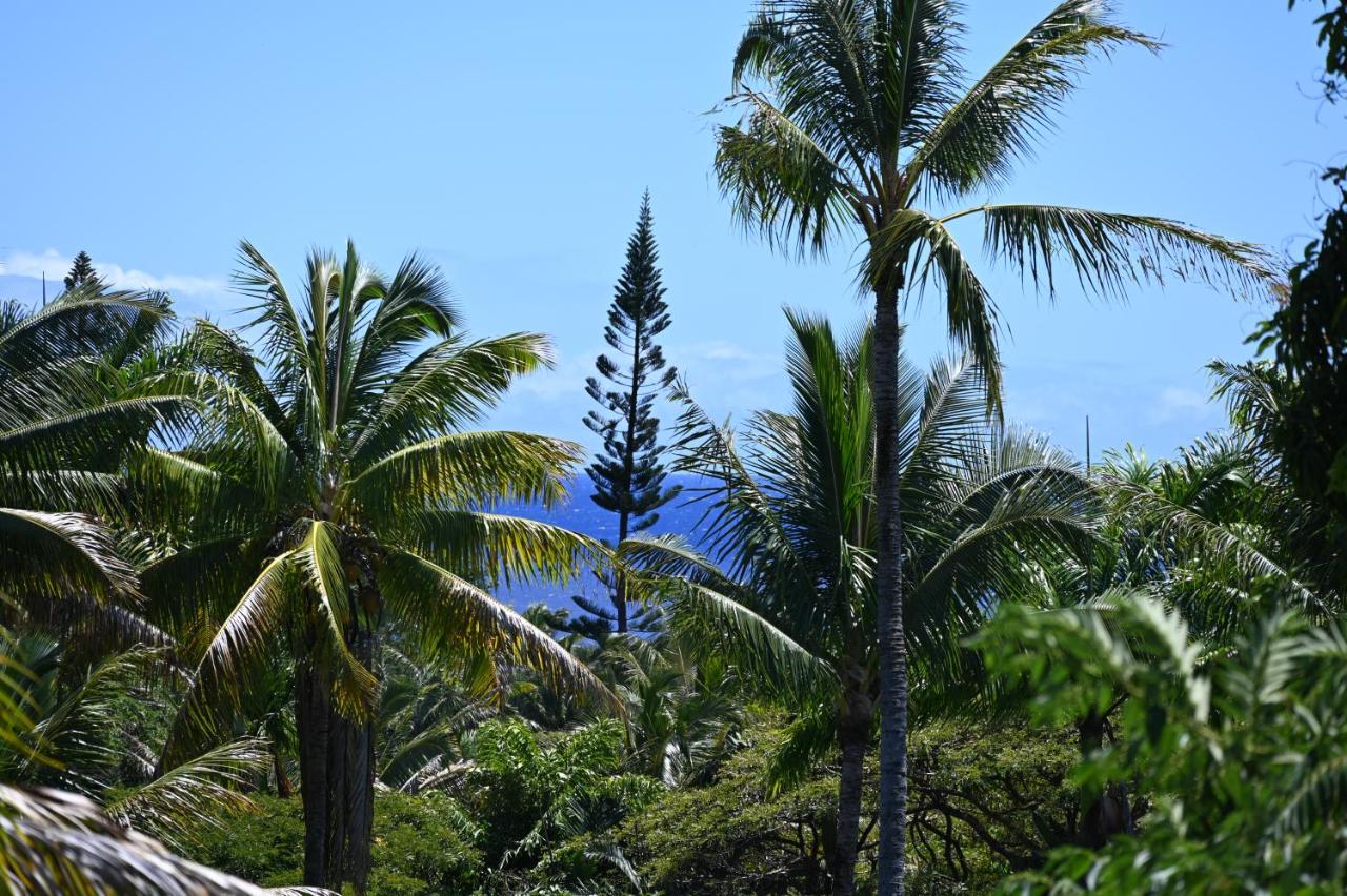 | Peaceful Kehena Beach Treehouse Villa w/ Star Deck