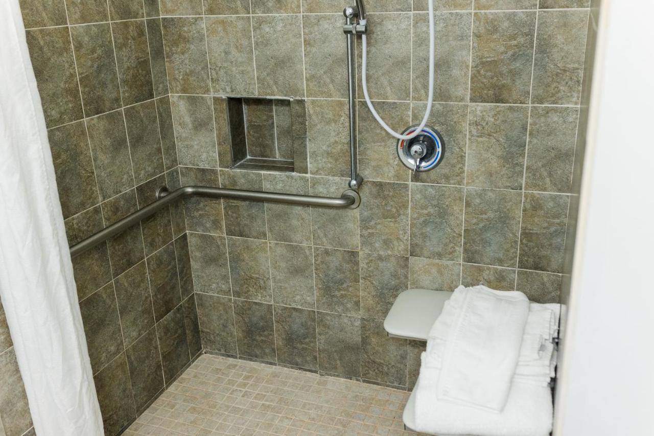 Standard King Room with Roll-In Shower - Disability Access Non Smoking at Country Inn & Suites by Radisson, Helen, GA