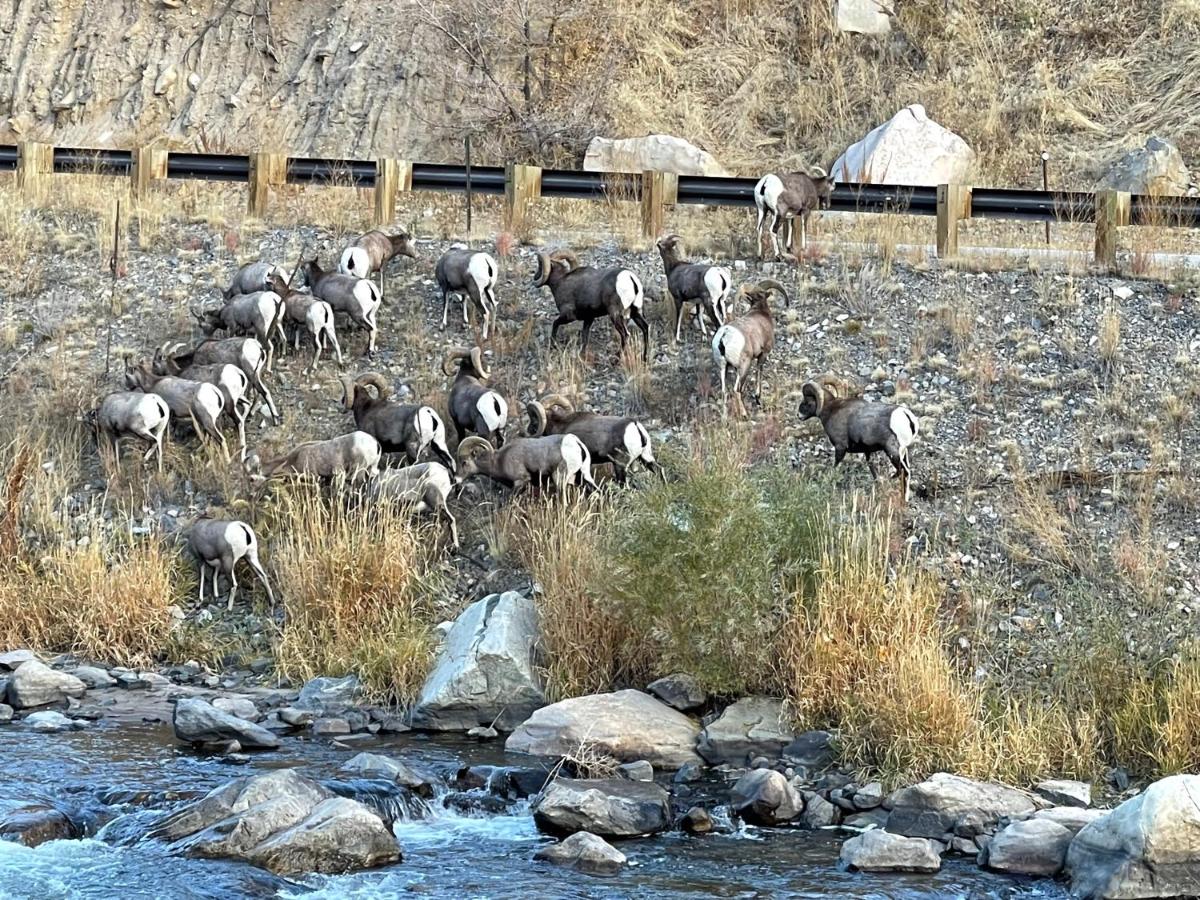 | Stoney River Lodge
