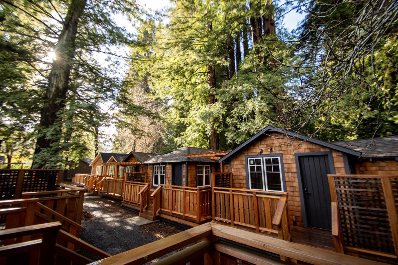 Redwood Cabin at Dawn Ranch