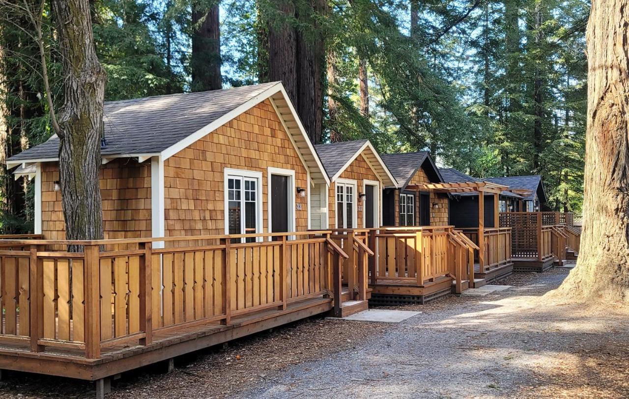 Petite Cabin at Dawn Ranch