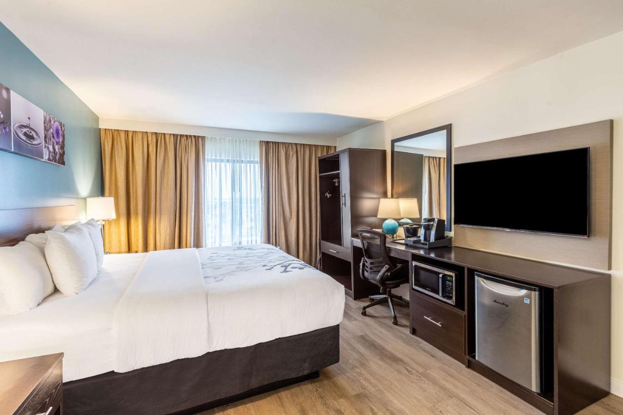 Standard King Room with Boulevard View - Non-Smoking  at Sleep Inn Orange Beach