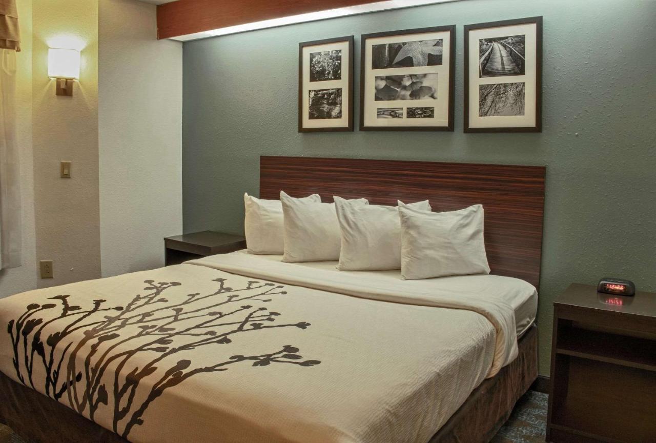 King Room - Non-Smoking at Quality Suites Lake Wright - Norfolk Airport