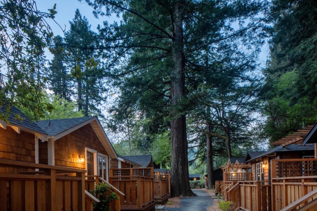 Redwood Cabin at Dawn Ranch