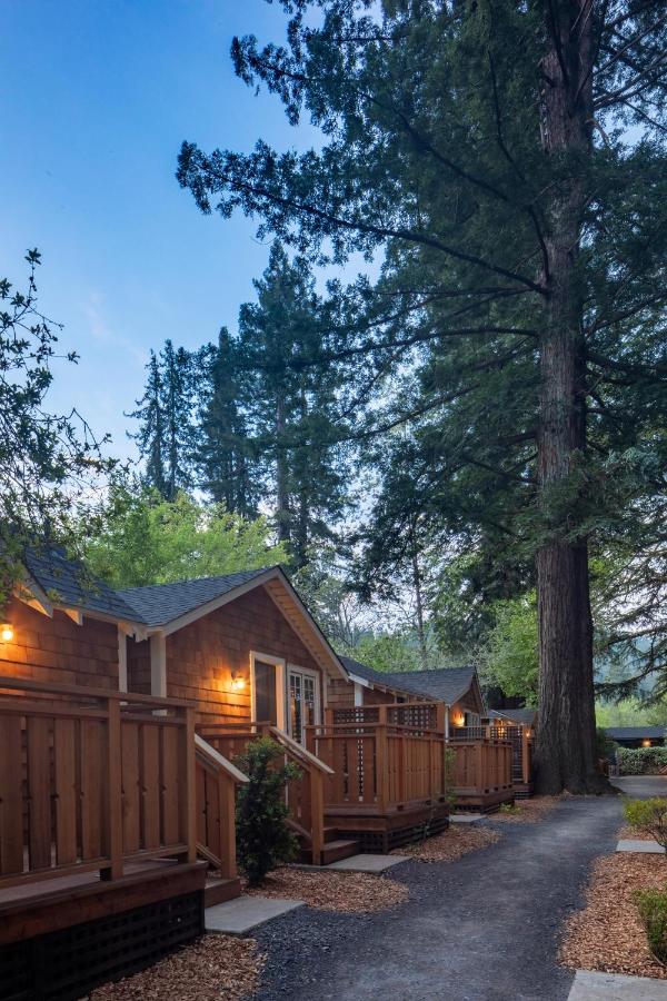 Redwood Cabin at Dawn Ranch