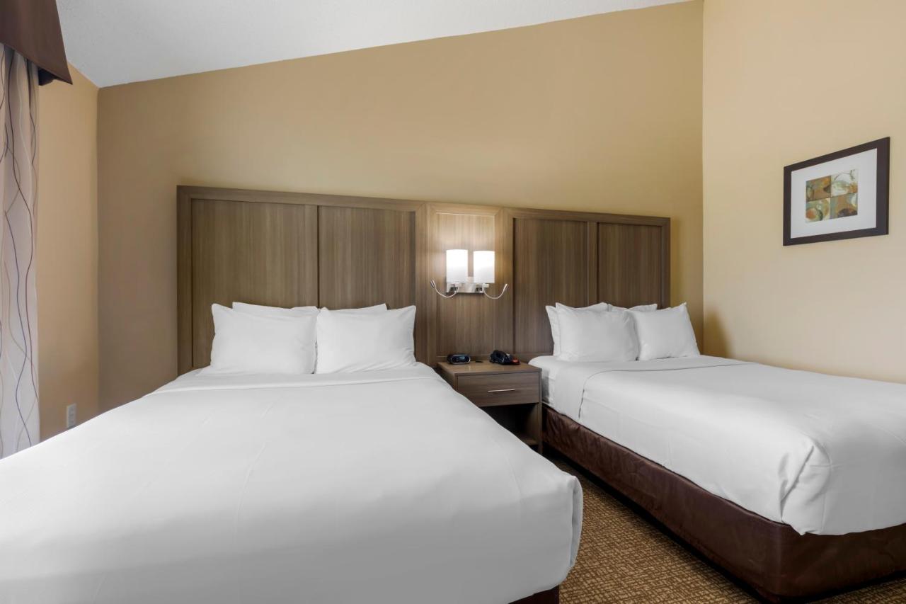 Queen Suite with Two Queen Beds - Non-Smoking at Comfort Suites DFW Airport