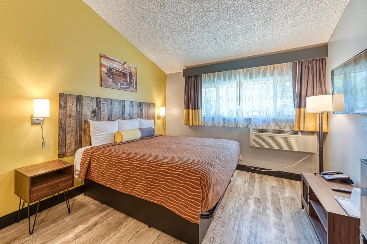 Deluxe King Room at La Mirage Inn - Hollywood