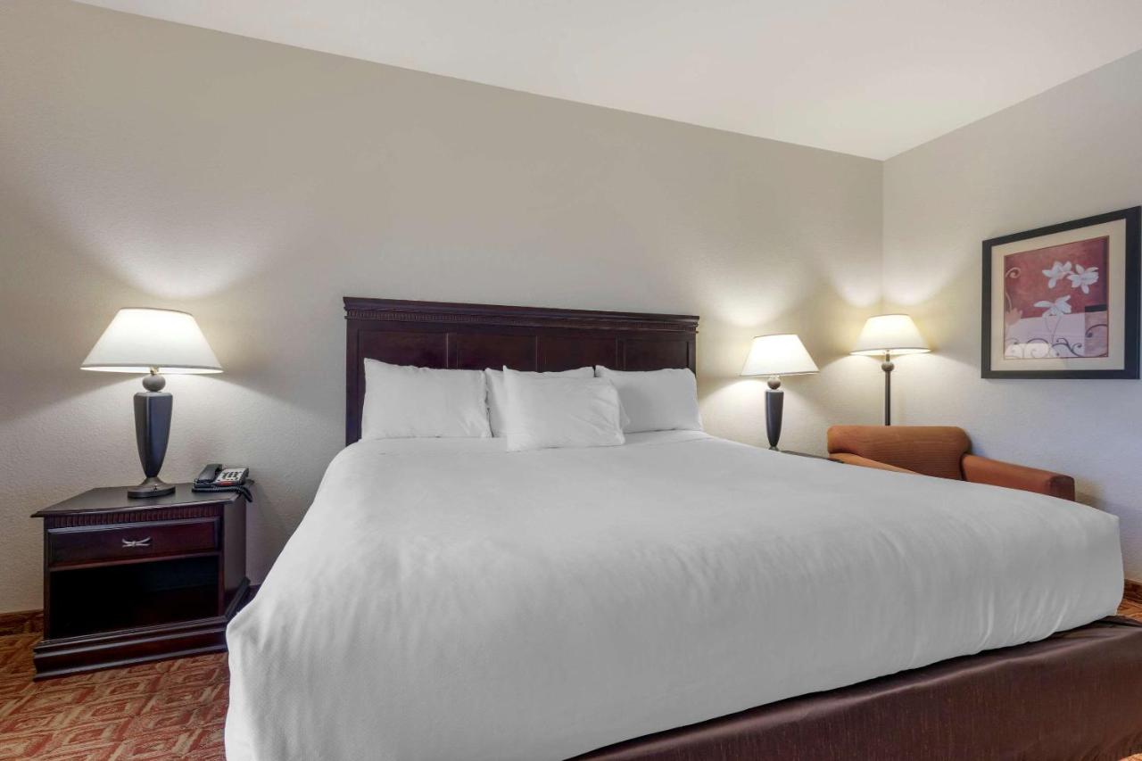 Standard King Room - Non-Smoking at Holiday Inn Express & Suites Denison West by IHG
