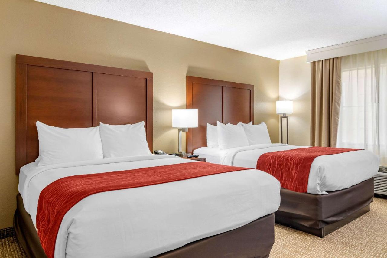 Queen Room with Two Queen Beds - Non-Smoking at Comfort Inn & Suites Macon North I-75