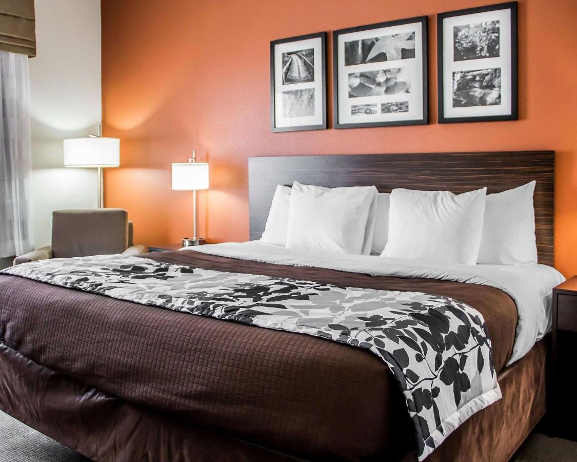King Room - Non-Smoking at Sleep Inn & Suites Blackwell I-35