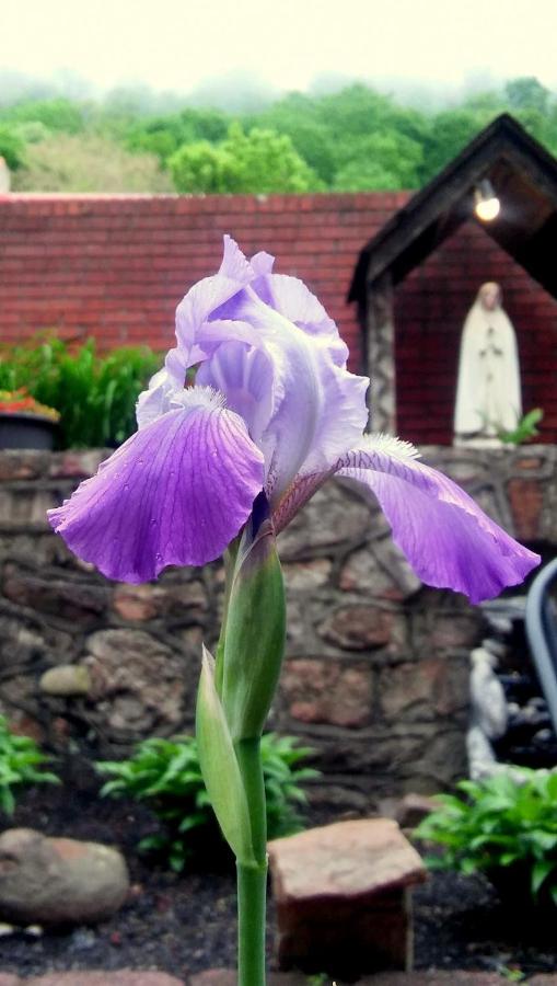 | Maria's Garden & Inn