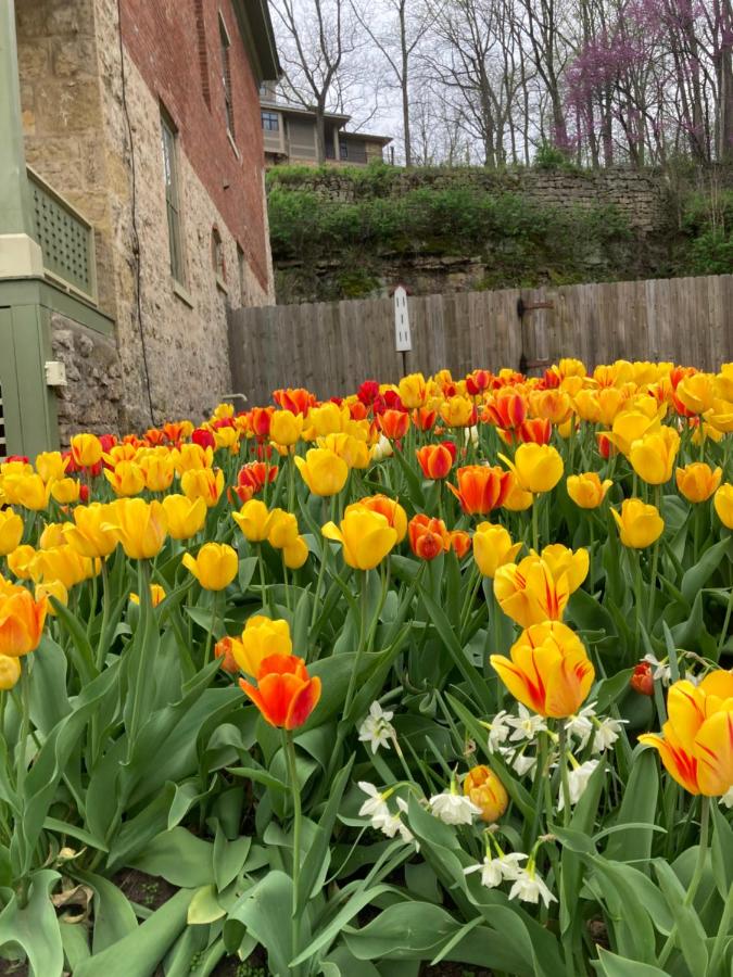  | Abe's Spring Street Guest House