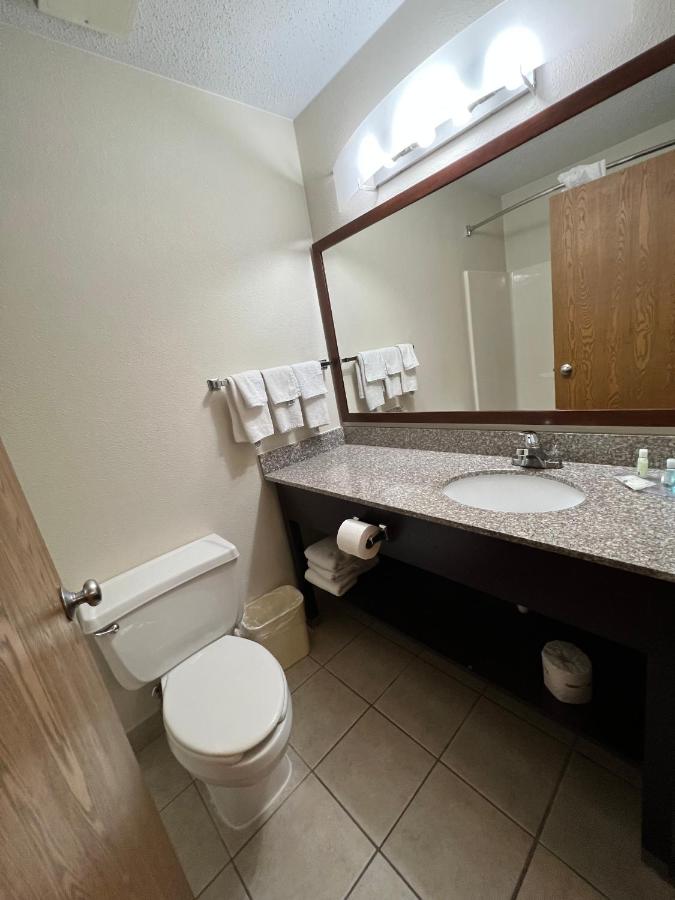 King Room - Non-Smoking at Quality Inn Mitchell I-90