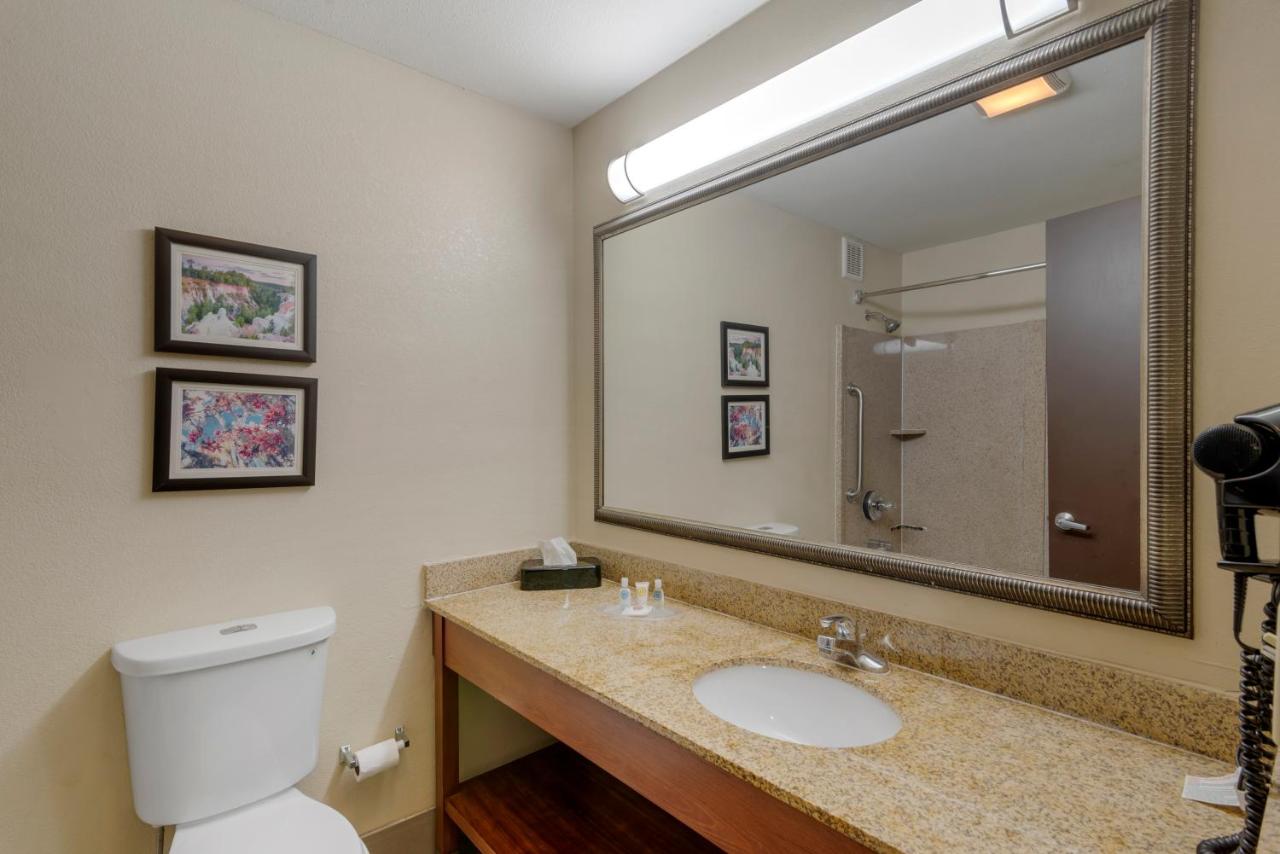 King Suite - Non-Smoking at Comfort Suites Columbus State University Area