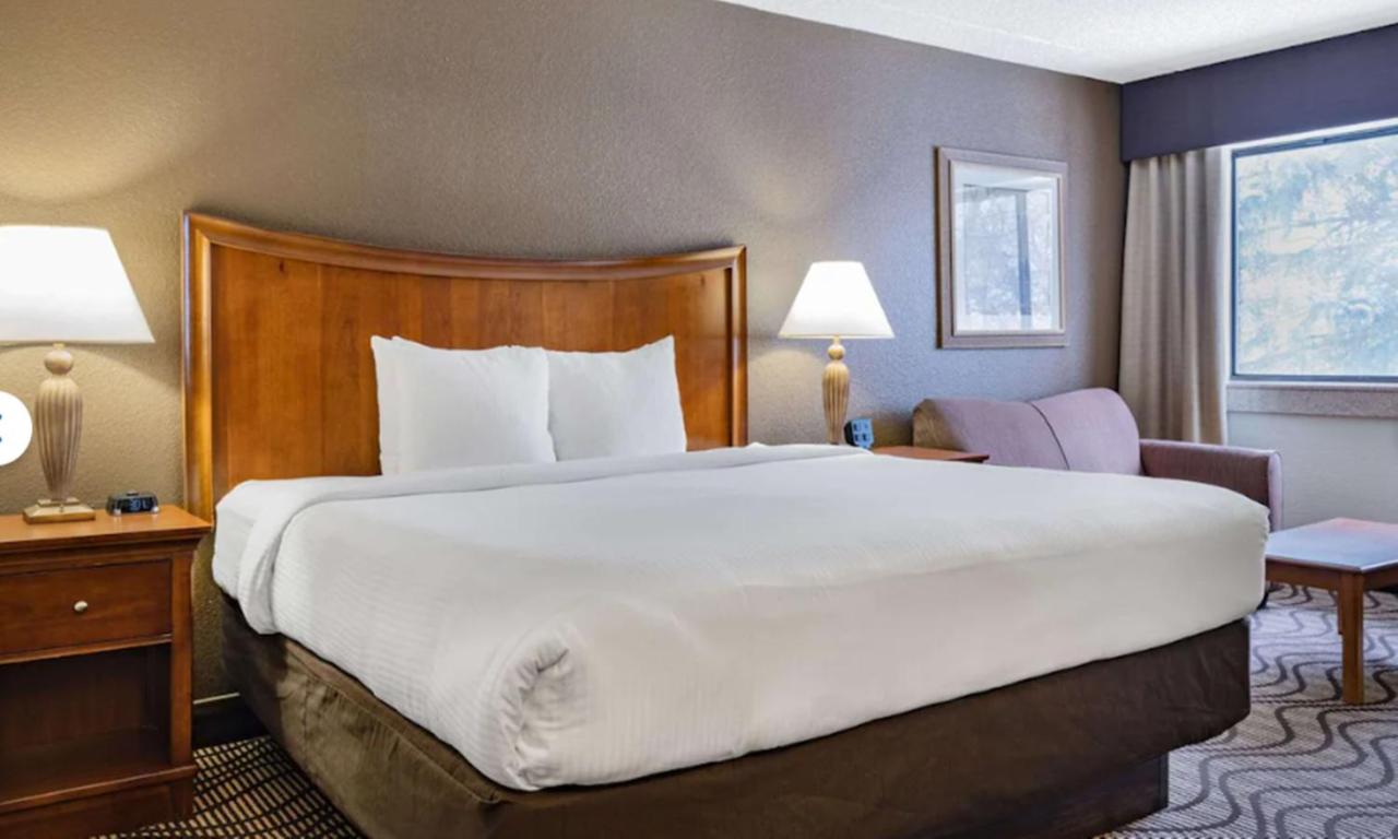 Executive King Room at La Quinta Inn & Suites by Wyndham Minneapolis-Minnetonka