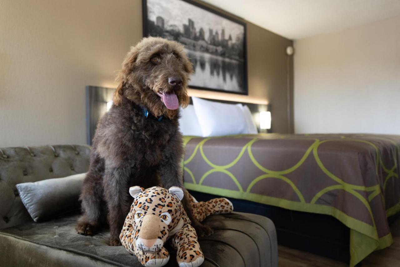 King Room - Pet Friendly/Non-Smoking at Super 8 by Wyndham McDonough GA