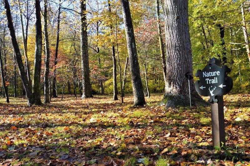  | Shadow Mountain Escape Cabin Rentals