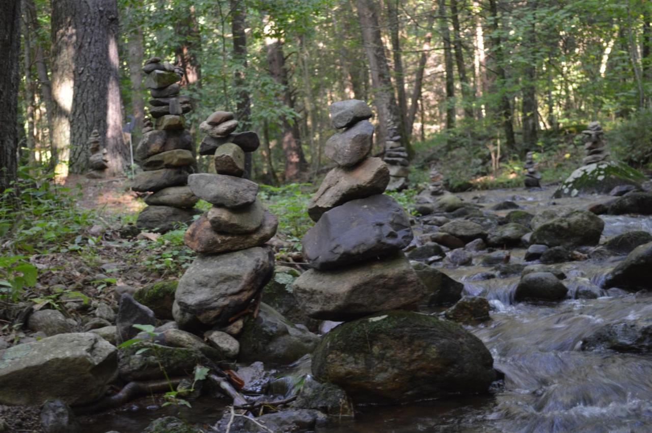 | Shadow Mountain Escape Cabin Rentals