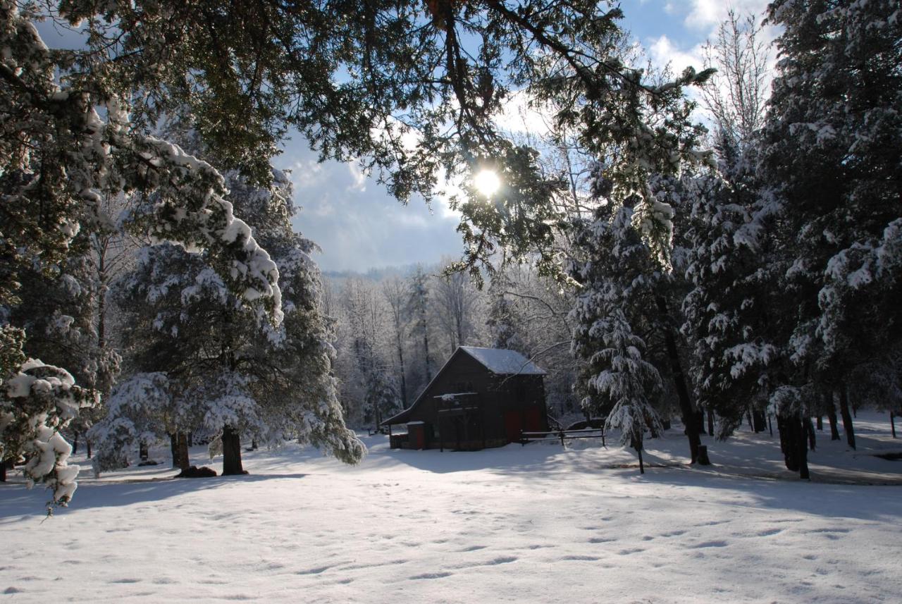  | Shadow Mountain Escape Cabin Rentals
