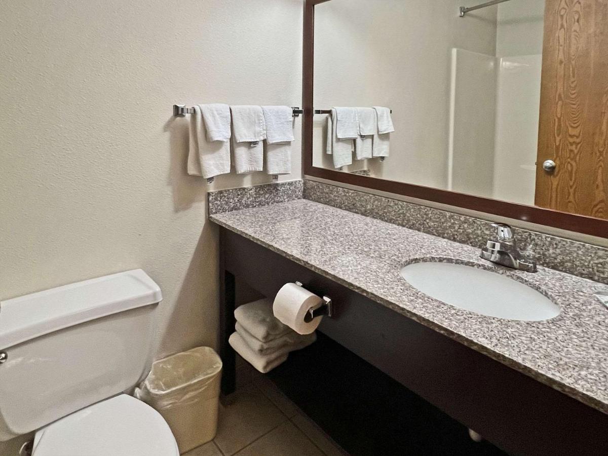 King Room - Non-Smoking at Quality Inn Mitchell I-90