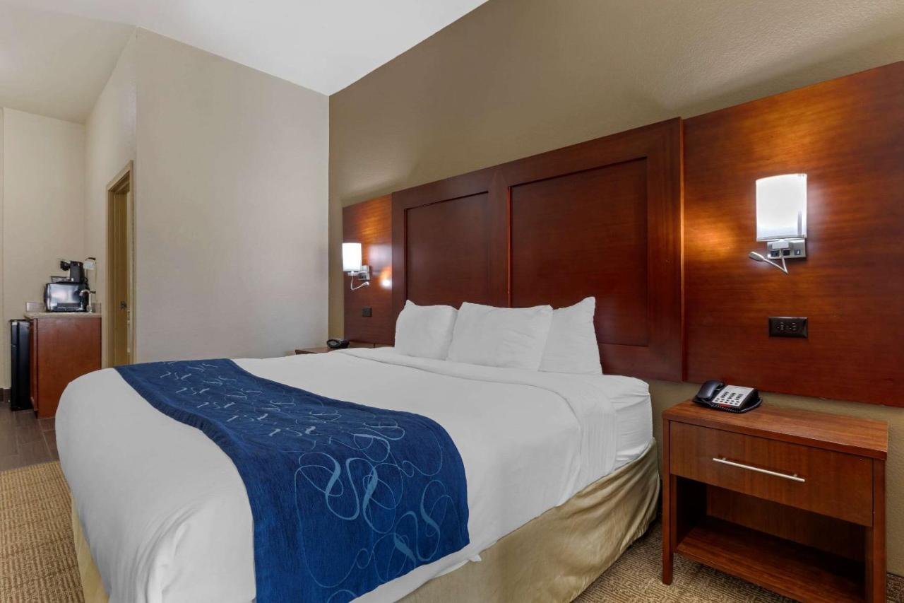 King Suite with Sofa Bed at Comfort Suites Gainesville