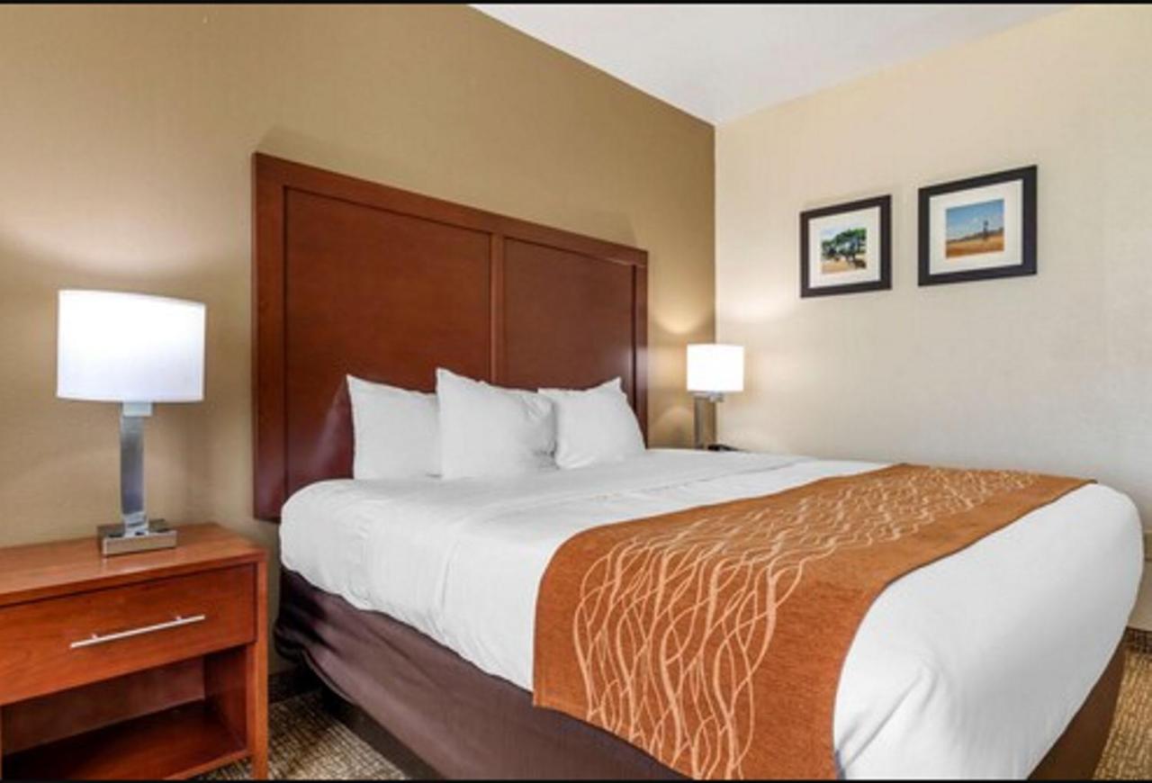 King Room - Non-Smoking/Pet Friendly at Comfort Inn Near UNT