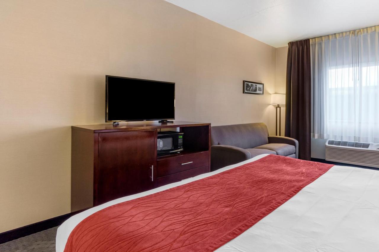 King Room with Sofa Bed at Comfort Inn Kent - Seattle