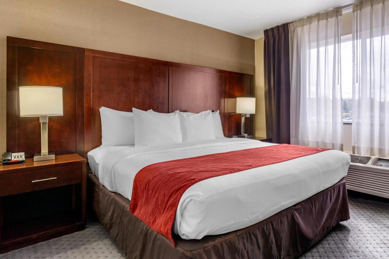 King Suite at Comfort Inn Kent - Seattle