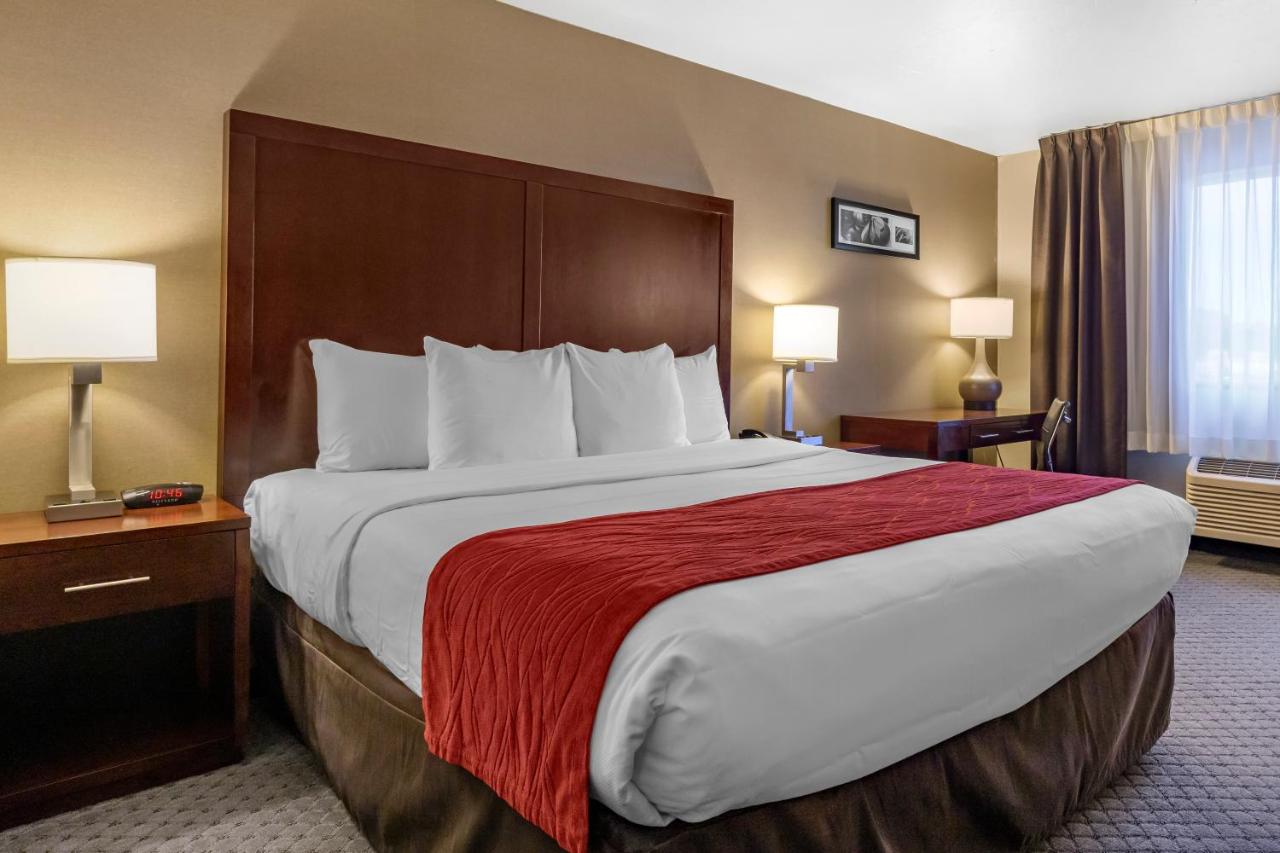 King Room at Comfort Inn Kent - Seattle