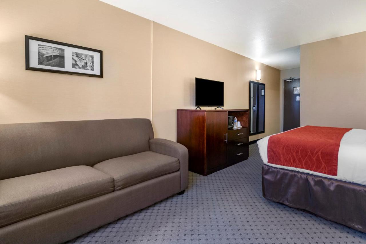 King Room with Sofa Bed at Comfort Inn Kent - Seattle
