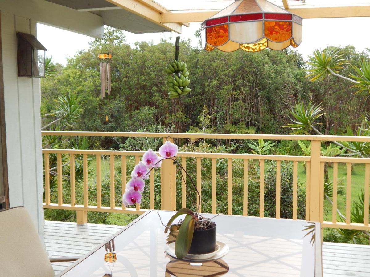 | Fern Forest Getaway