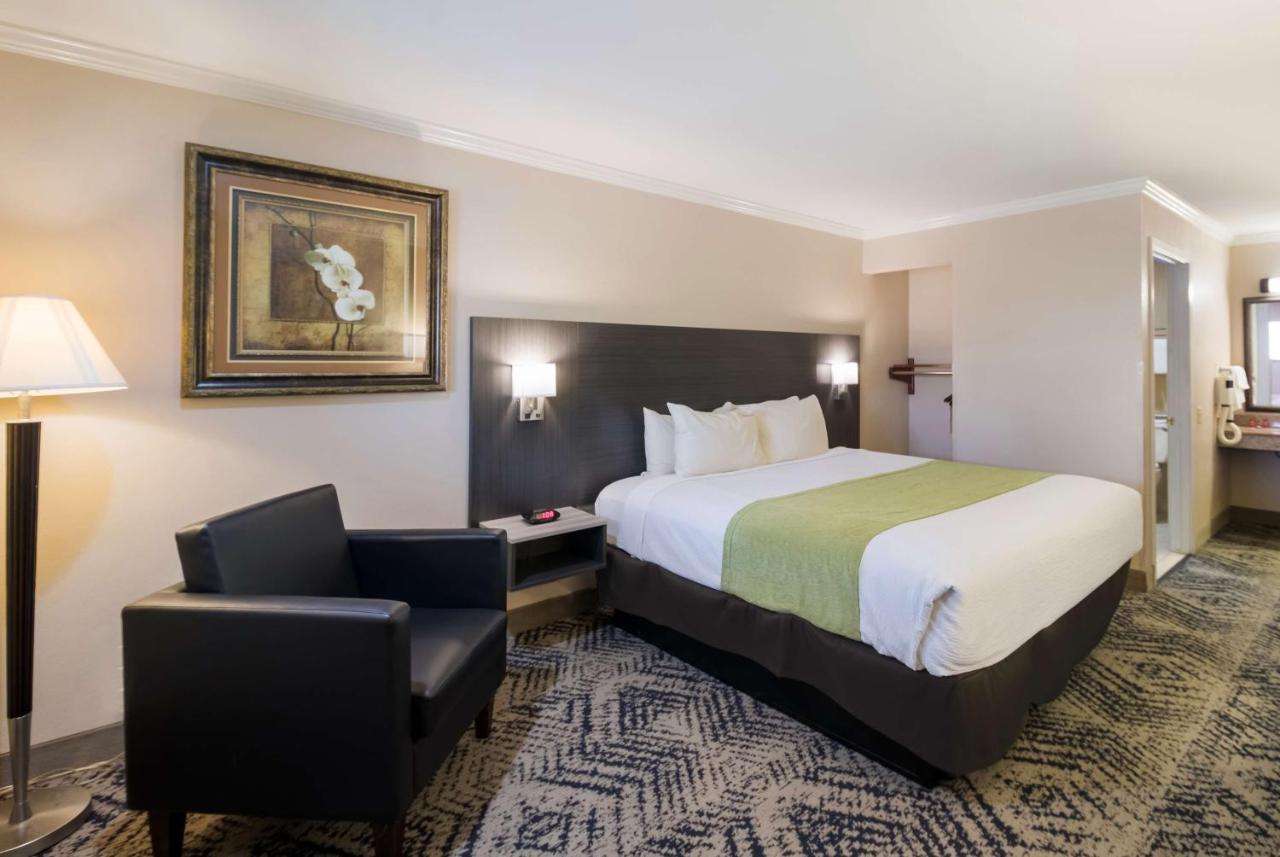 King Room with Mobility Accessible Roll-In Shower at SureStay Hotel by Best Western Rockdale