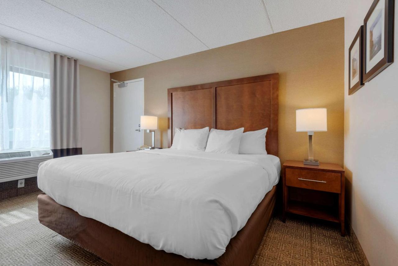 King Room at Comfort Inn The Pointe
