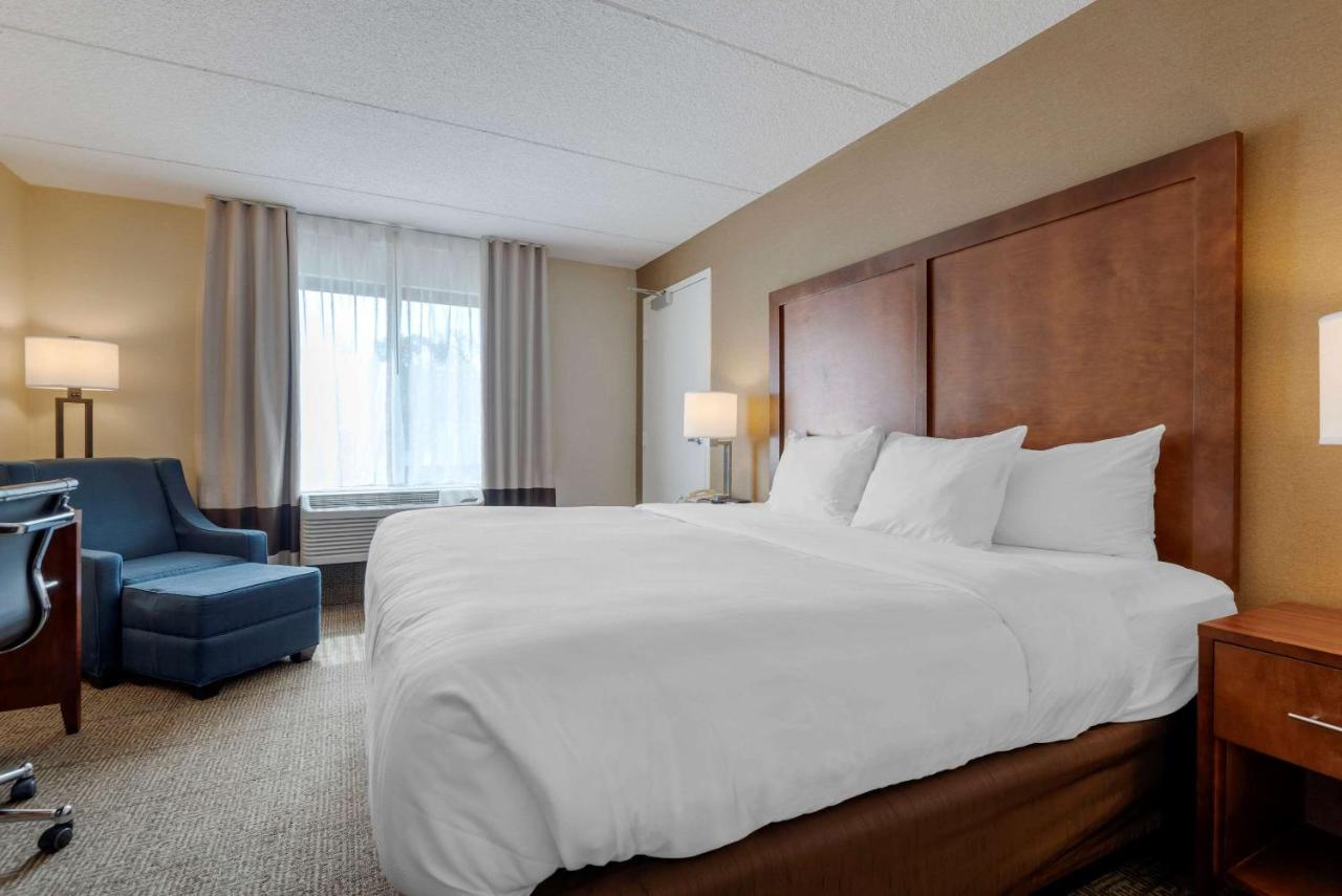 King Room at Comfort Inn The Pointe