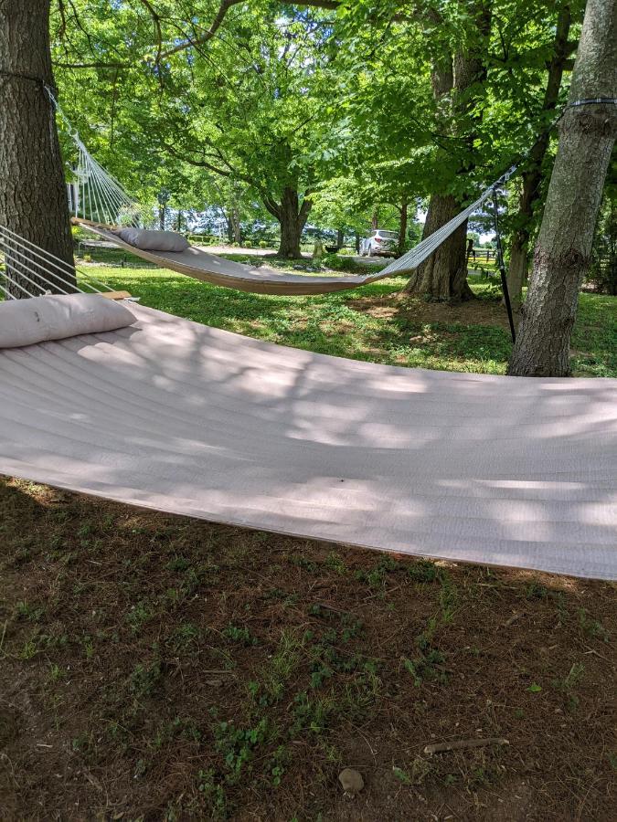 | Maple Hill Manor Bed & Breakfast