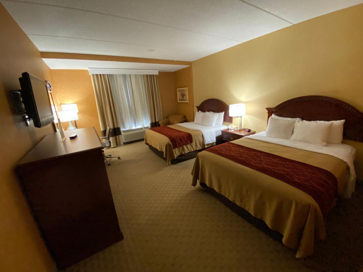 | Quality Inn Near Walden Galleria Mall