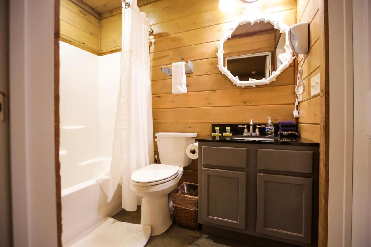 | Knotty Squirrel Cabins