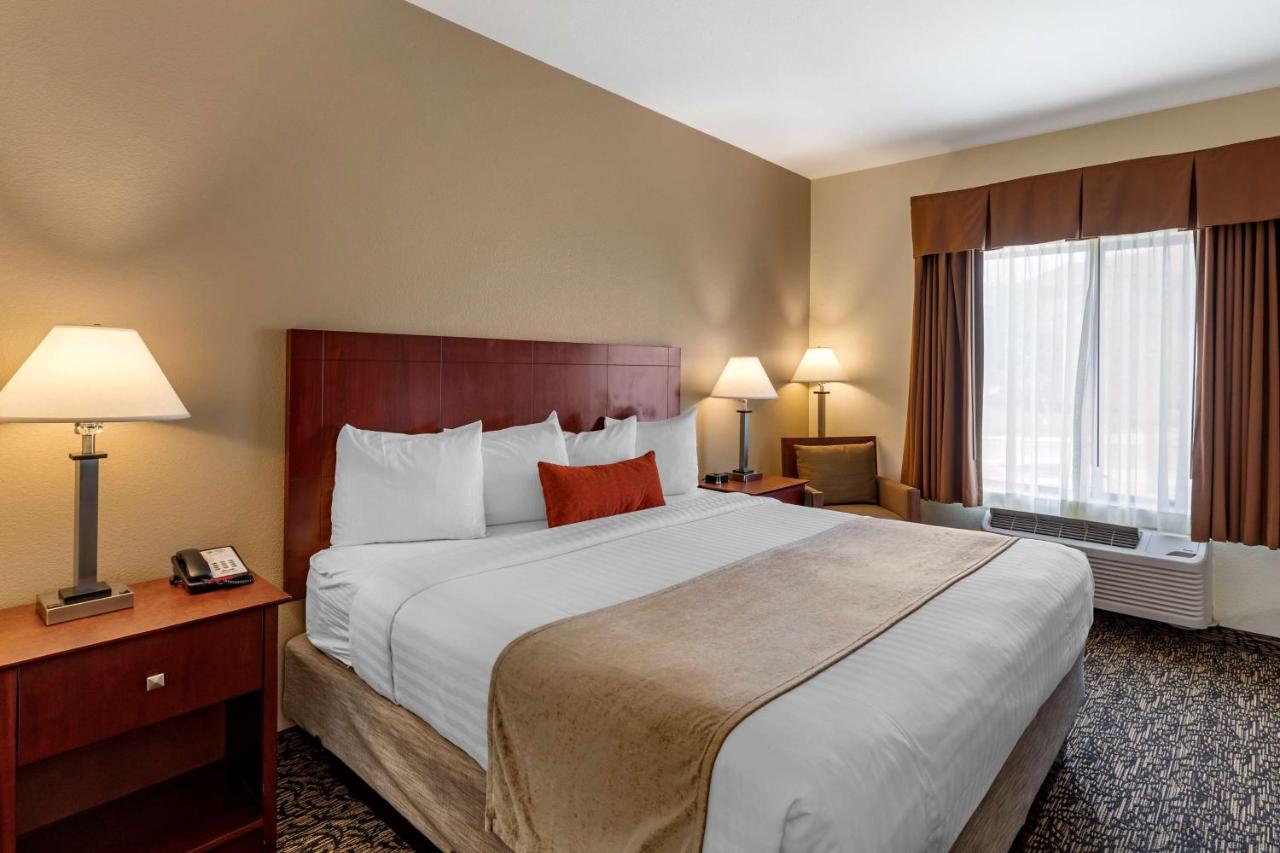  | Best Western Plus Louisville Inn & Suites